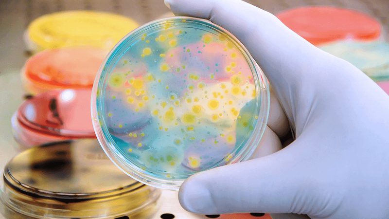 生物医药细胞治疗产品申报咨询，你了解多少？**