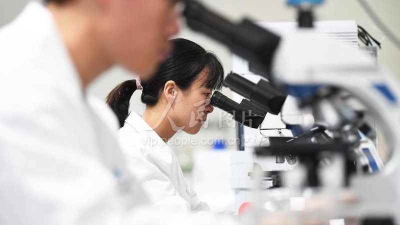 CDMO价格波动背后的深层因素解析