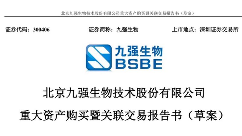 分子生物学试剂：批发报价背后的考量因素