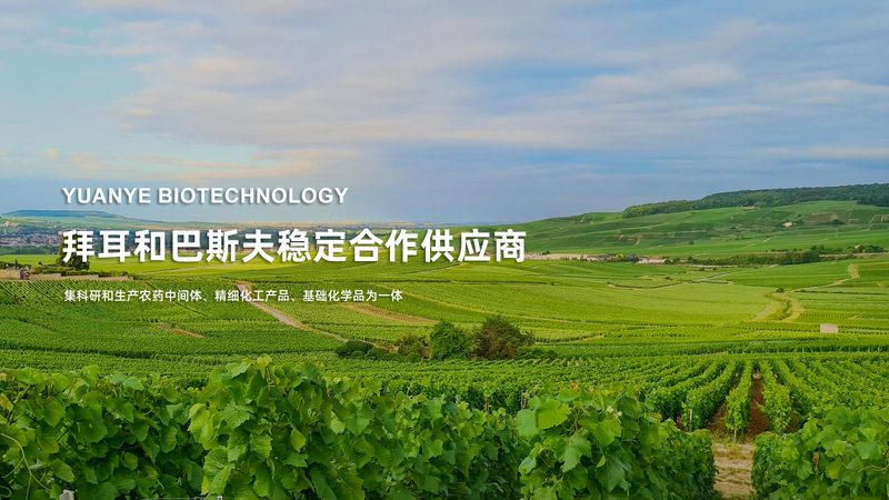 CRS优化误区：揭秘用户体验提升的常见陷阱