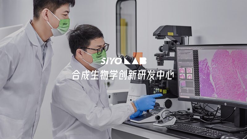 进口生物试剂批发采购，流程揭秘与关键要点