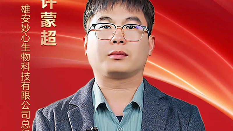 国内CDMO公司崛起，揭秘十大品牌背后的实力与挑战