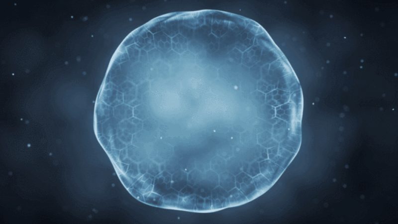 生物医药外包服务报价单：揭秘报价背后的考量因素