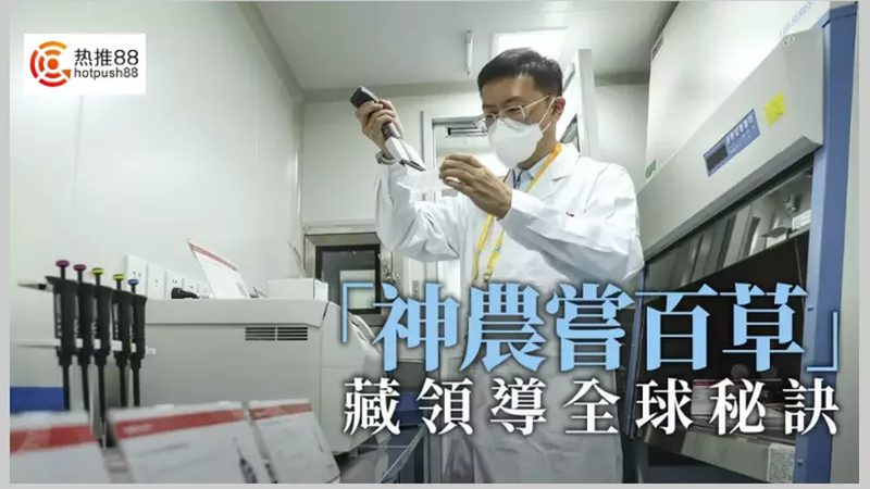 上海食品PCR检测机构：守护食品安全的关键力量