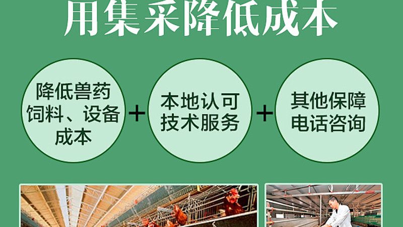 生物科技公司核心研发人员：他们的背景与价值**