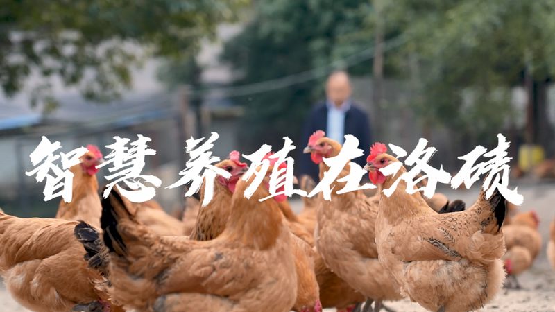 生物医药园区废水处理设备：关键技术与选型要点**